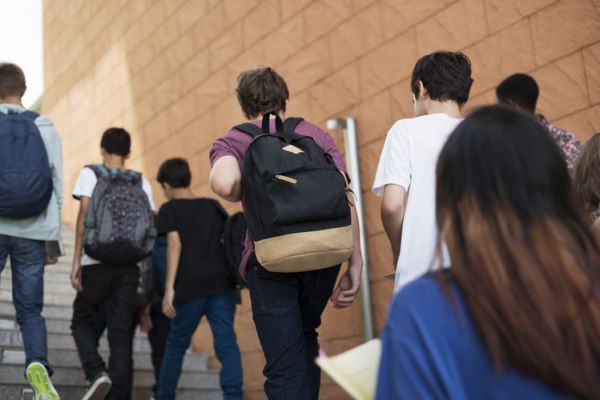 宠物养护与经营技术学院