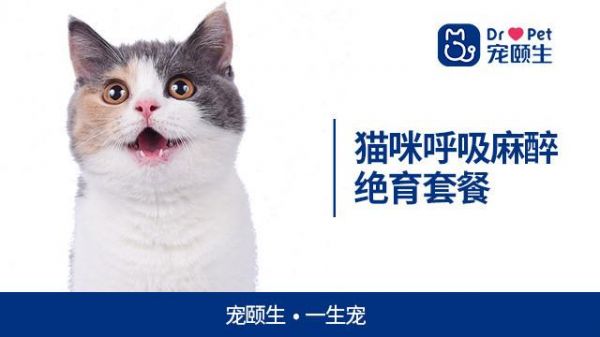 廊牧动物医院霸州市分院（霸州廊牧宠物医院电话）