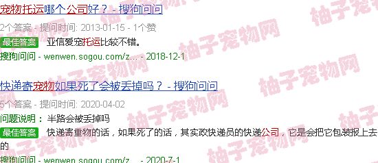 帮帮宠物托运公司