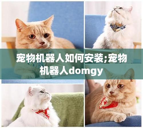 宠物机器人如何安装;宠物机器人domgy