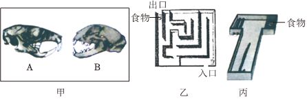 菁优网