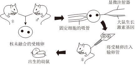 菁优网