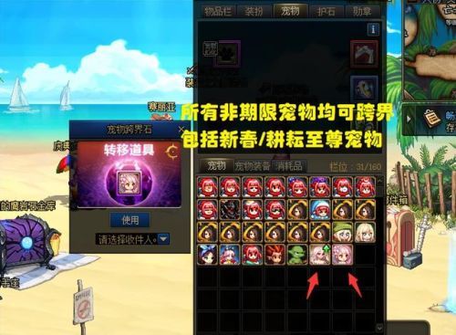 dnf宠物装备可以跨界吗(宠物装备怎么给其他角色)插图1