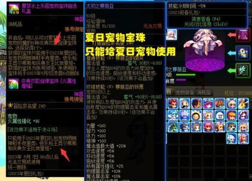 dnf宠物装备可以跨界吗(宠物装备怎么给其他角色)插图2