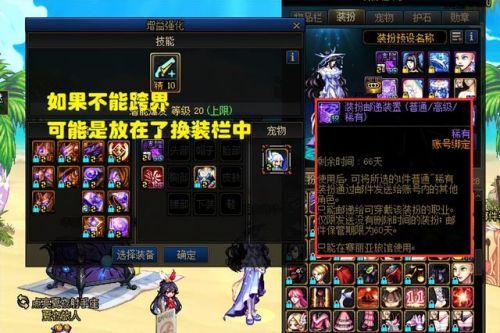 dnf宠物装备可以跨界吗(宠物装备怎么给其他角色)插图4