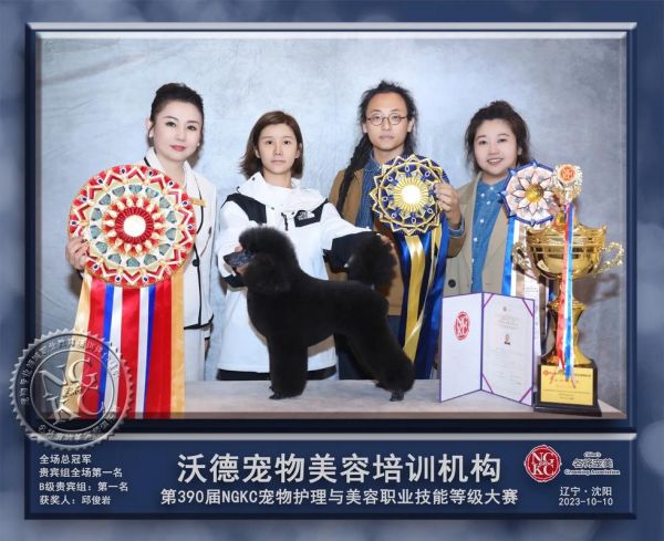 宠物美容培训香港,宠物美容培训香港多少钱