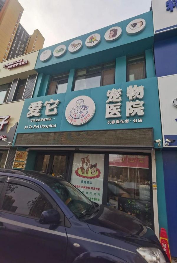 长春哪里宠物医院好，长春哪里宠物医院好不贵