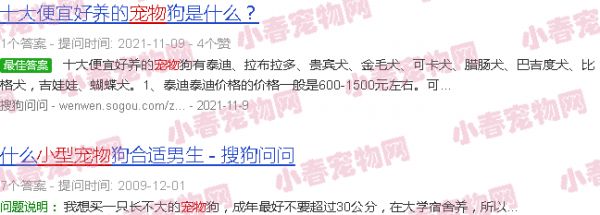 狗宠物小型排行榜图片