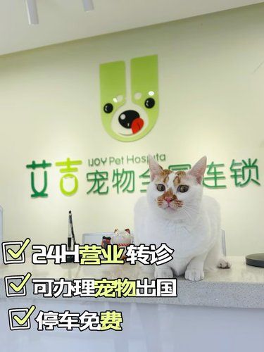 太蠢了！我居然现在才知道这家宠物医院！