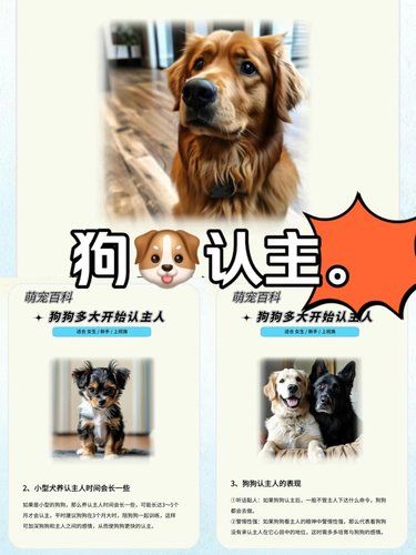 狗狗认主的黄金期，快俘获毛孩子的心 