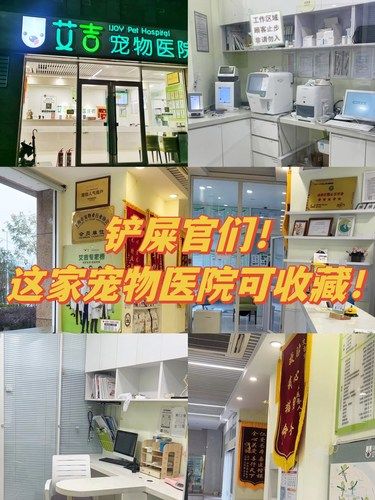 铲屎官们！ 这家宠物医院可收藏！