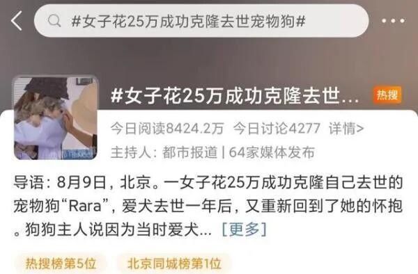 女子花25万克隆去世宠物狗 看得出是真的爱自家毛孩子