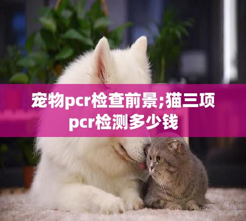 宠物pcr检查前景;猫三项pcr检测多少钱