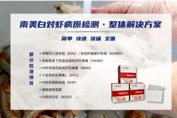 江苏宠物诊断薄膜微流控PCR检测,薄膜微流控