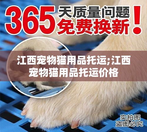 江西宠物猫用品托运;江西宠物猫用品托运价格