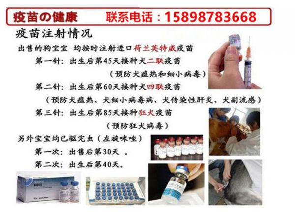 湖南株洲茶陵县哪里有场怎么挑选