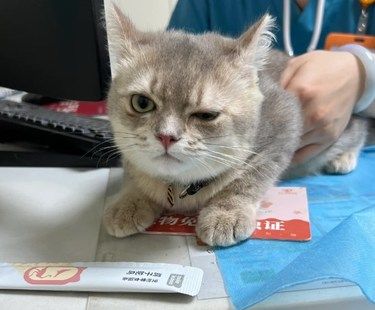 这个宠物医院很不错