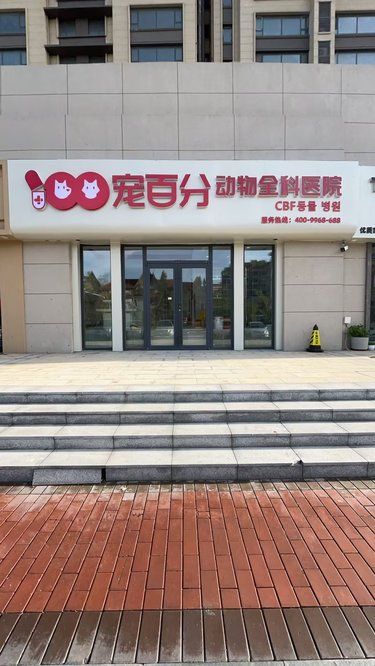 这家宝藏宠物医院你让我好找啊！ 
