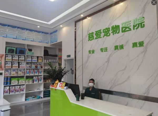 四会慈爱宠物医院：爱的港湾，专业的庇护