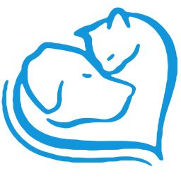 家宠医生