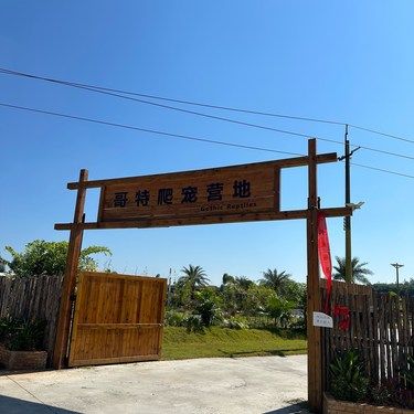 爬行动物
