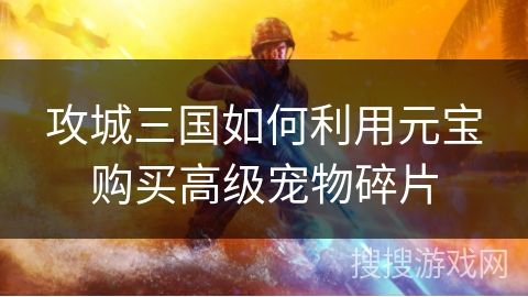 攻城三国如何利用元宝购买高级宠物碎片