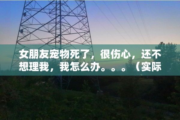 女朋友宠物死了，很伤心，还不想理我，我怎么办。。。（实际点）