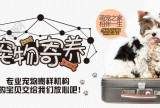 德州家庭式宠物寄养怎么收费?让您的宠物在我们这里安心度假