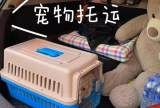 德州狗狗托运，隔日到达一口价
