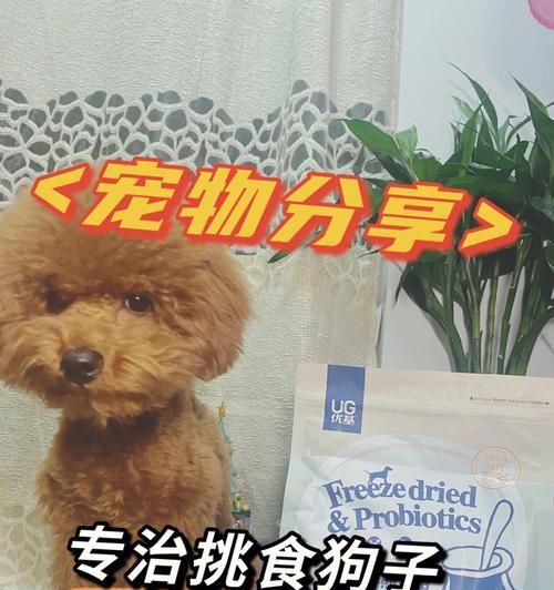 宠物拉肚子怎么办（解决狗狗拉肚子的方法及预防措施）