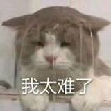 李有钱