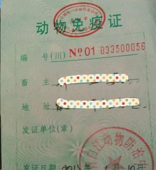 办好这些证件，宠物托运其实没你想的那么难！