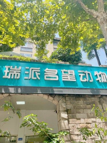 给毛孩子找到靠谱医院啦！