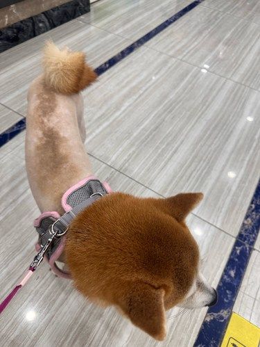 医术超赞 医心更美~