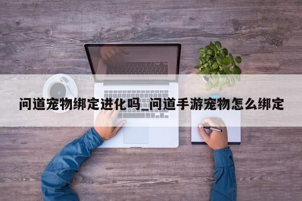 问道宠物绑定进化吗_问道手游宠物怎么绑定-第1张图片