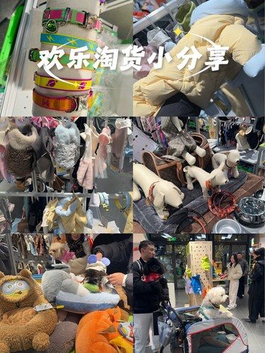 欢乐淘货小分享