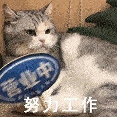我的宠物也要上学了