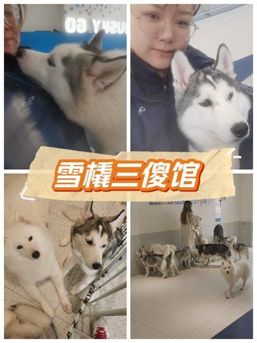 我的心窝子就被这毛孩子给融化了。我被彻底征服