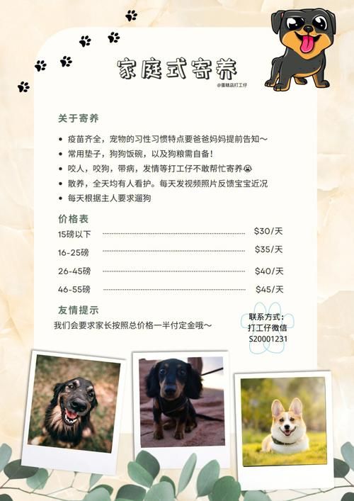 怎么样寄狗