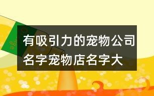 有吸引力的宠物公司名字,宠物店名字大全简单好记101个