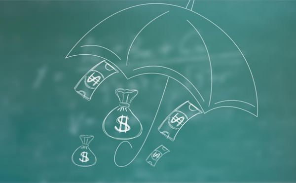 宠物医疗保险绝育可以报销吗？宠物医疗保险哪个好？插图1