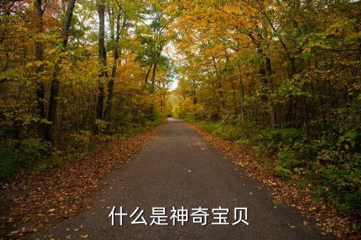 什么是神奇宝贝
