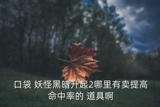  口袋 妖怪黑暗升起2哪里有卖提高 命中率的 道具啊