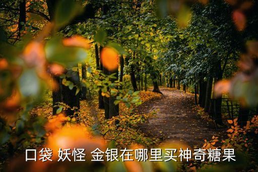  口袋 妖怪 金银在哪里买神奇糖果