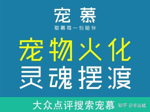 沈阳宠物殡葬加盟品牌排行，为爱宠提供专业殡葬服务