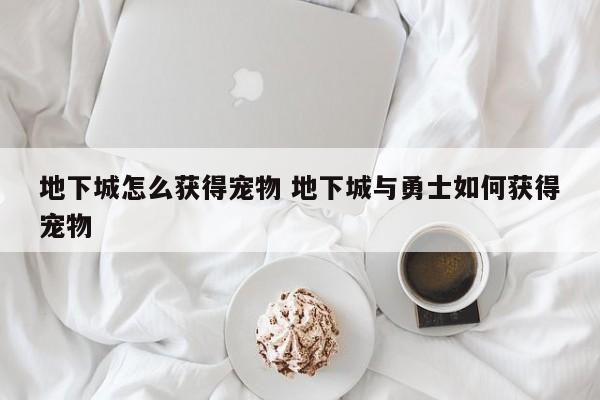 地下城怎么获得宠物 地下城与勇士如何获得宠物-第1张图片