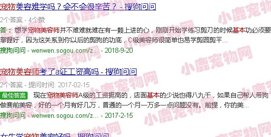 宠物美容师基本画图