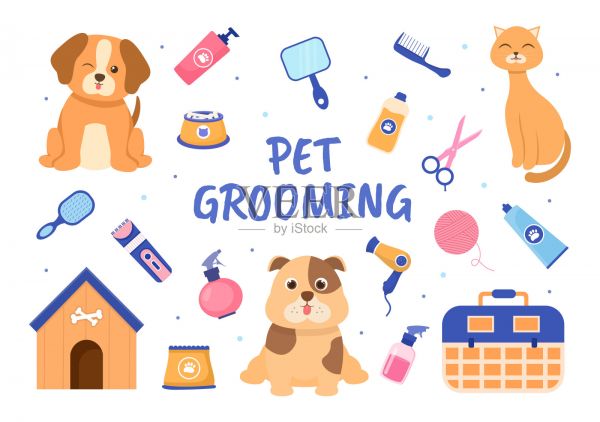 宠物美容的狗和猫在平面卡通手绘背景插图。用于美容院海报或横幅的主要工具插画图片素材