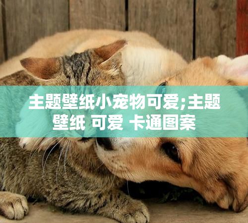 主题壁纸小宠物可爱;主题壁纸 可爱 卡通图案
