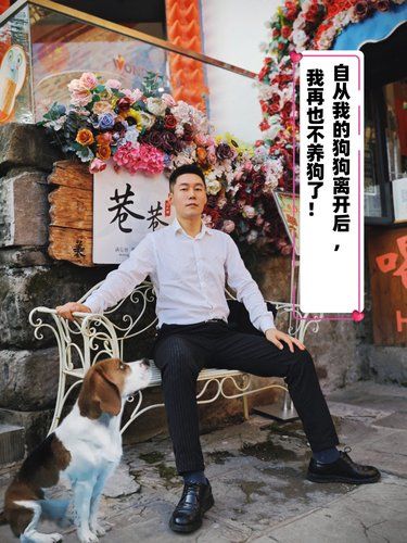 自从狗狗离开后，我再也不养狗了 